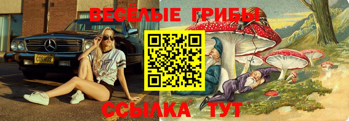 Галлюциногенные грибы Psilocybine cubensis  Вход с VPN  Галлюциногенные грибы мухоморы  Донской 