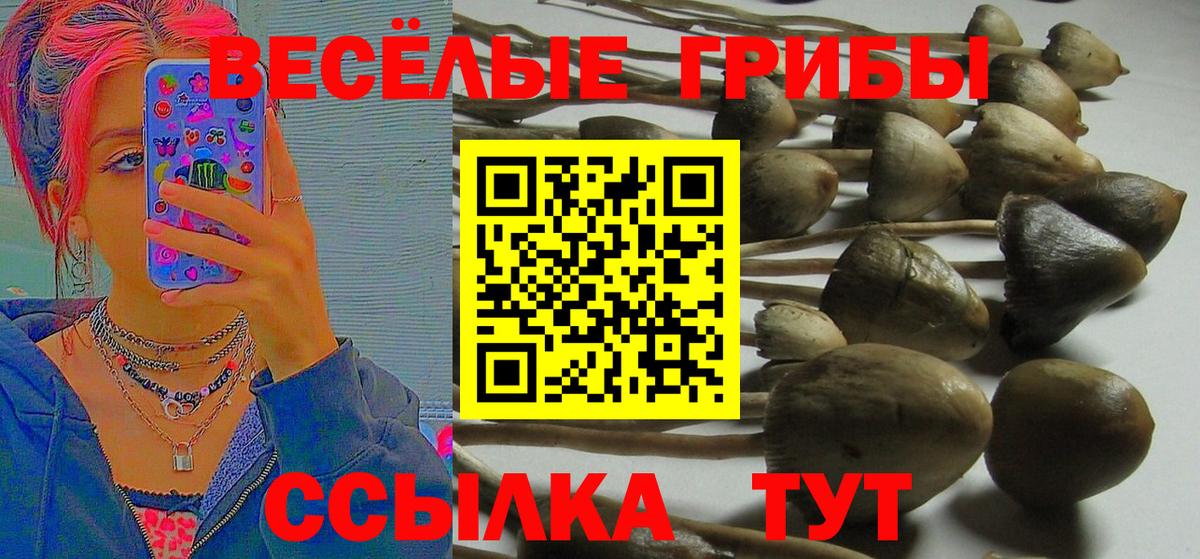 Псилоцибиновые грибы мухоморы Донской